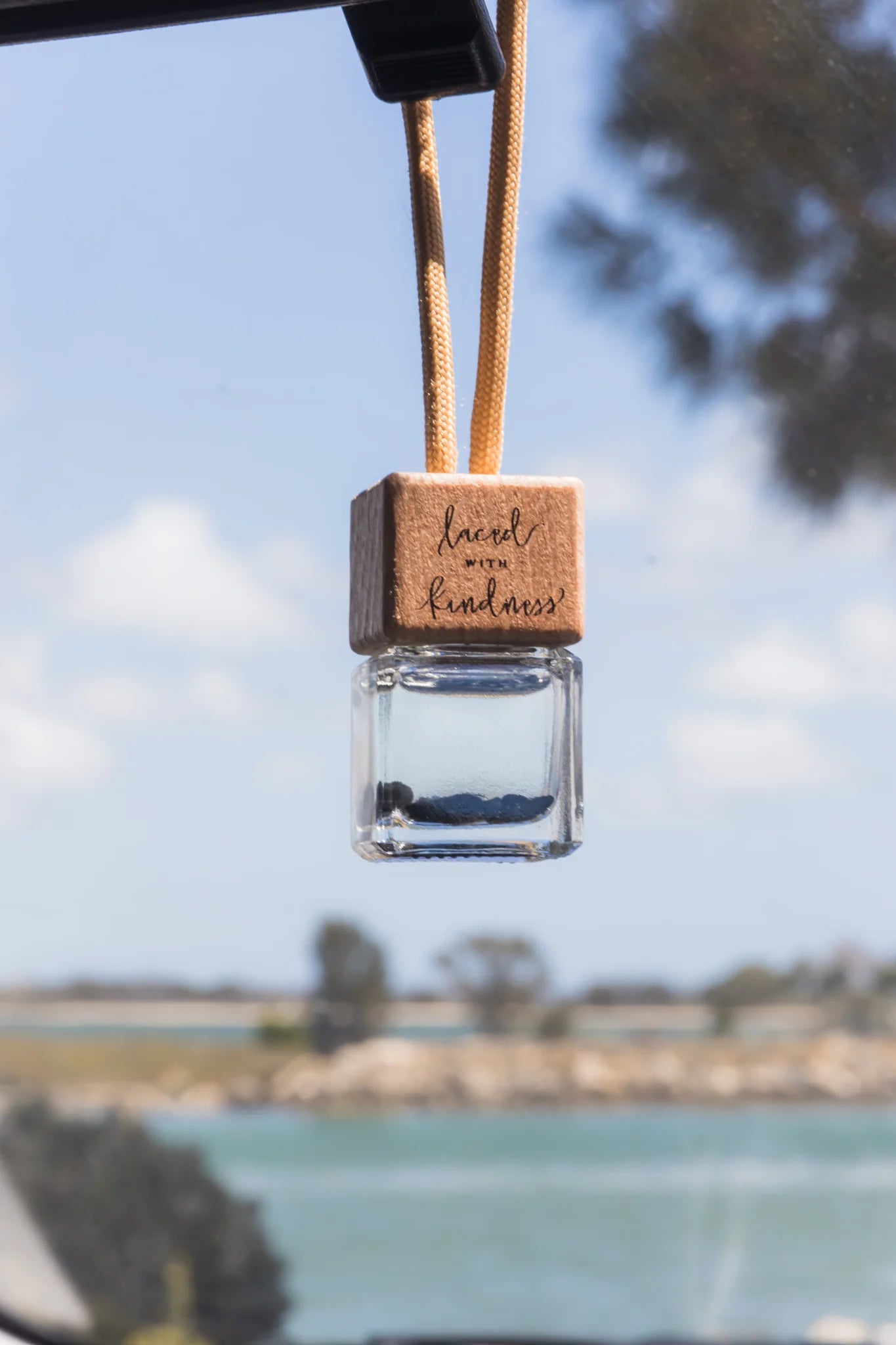 Car Diffuser Healing