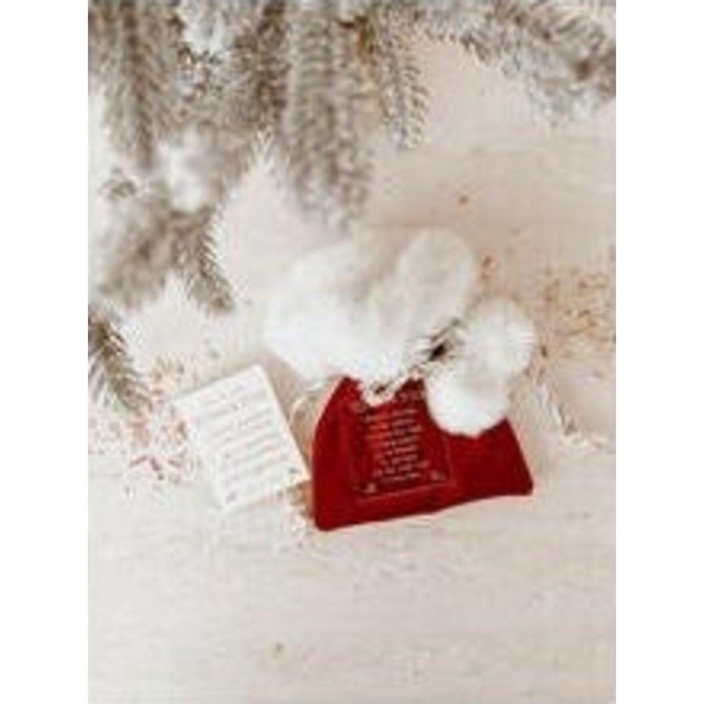 Blossom & Pear Magic Reindeer Food Treat Bag with Tag | Aster & Ruby