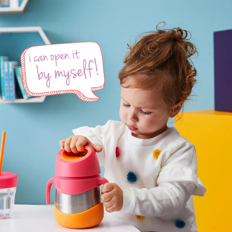 Insulated Food Jar