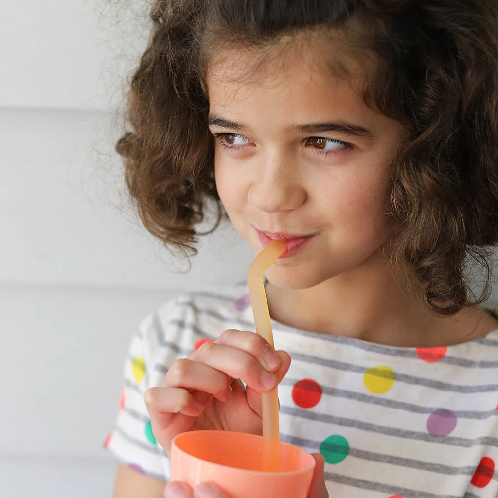 b.box b.box Reuseable Silicone Straws - Very Berry | Aster & Ruby