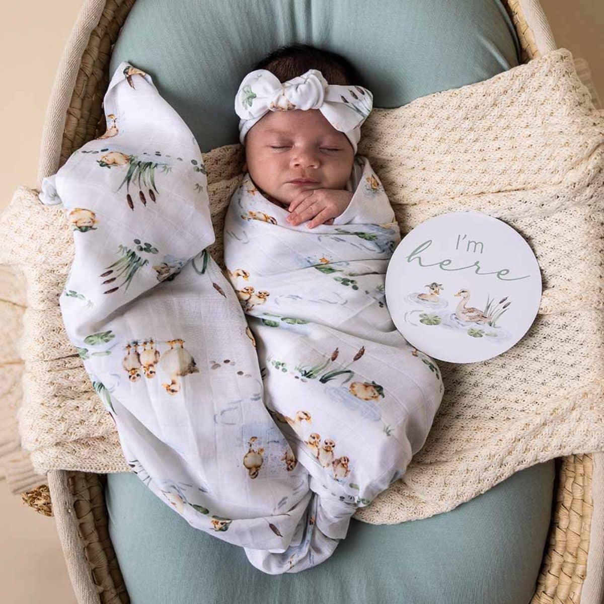 Large Organic Muslin Wraps - Duck Pond / Sage / Milk