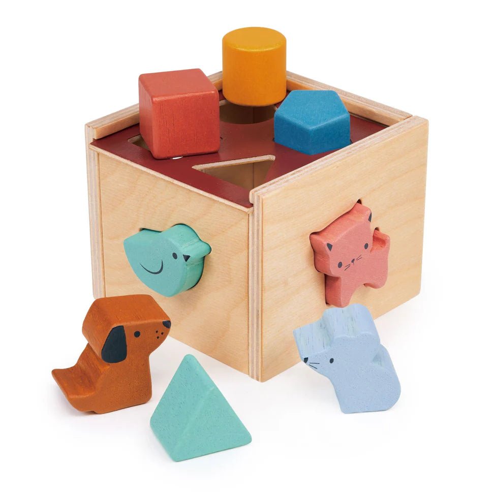 Bambino Shape Sorting Cube - Aster & Ruby