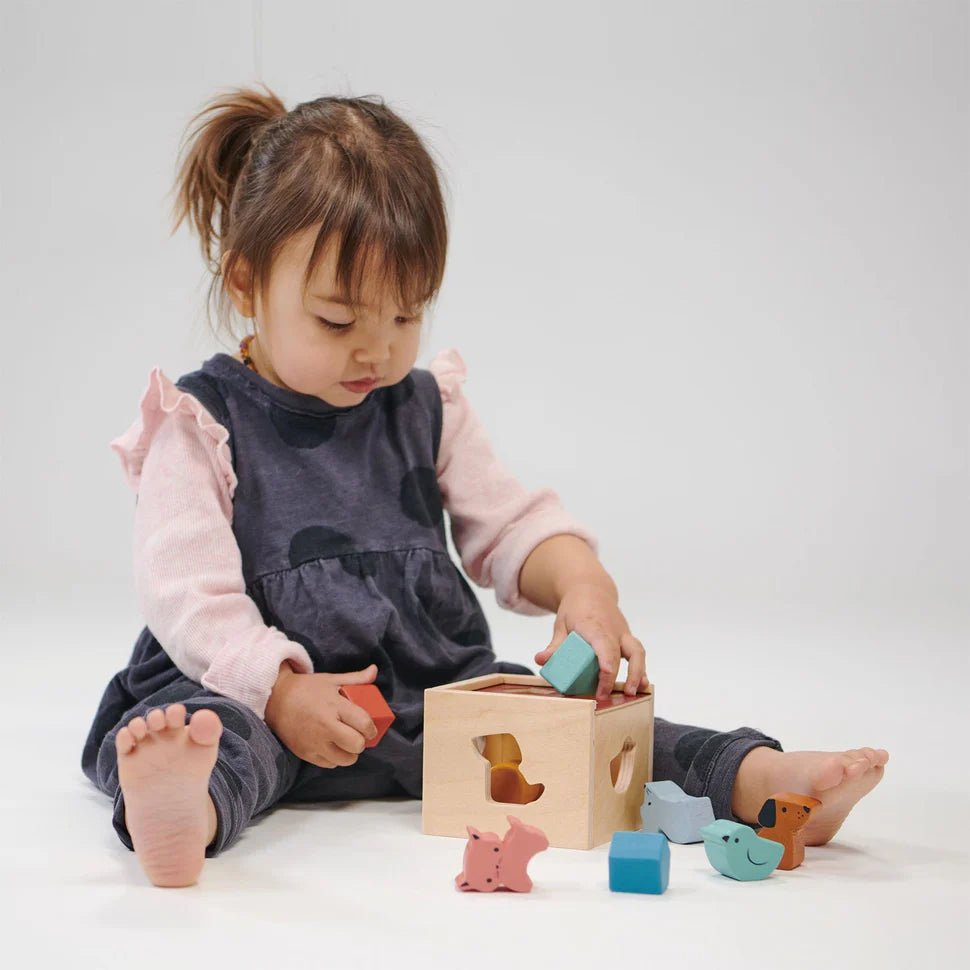 Bambino Shape Sorting Cube - Aster & Ruby