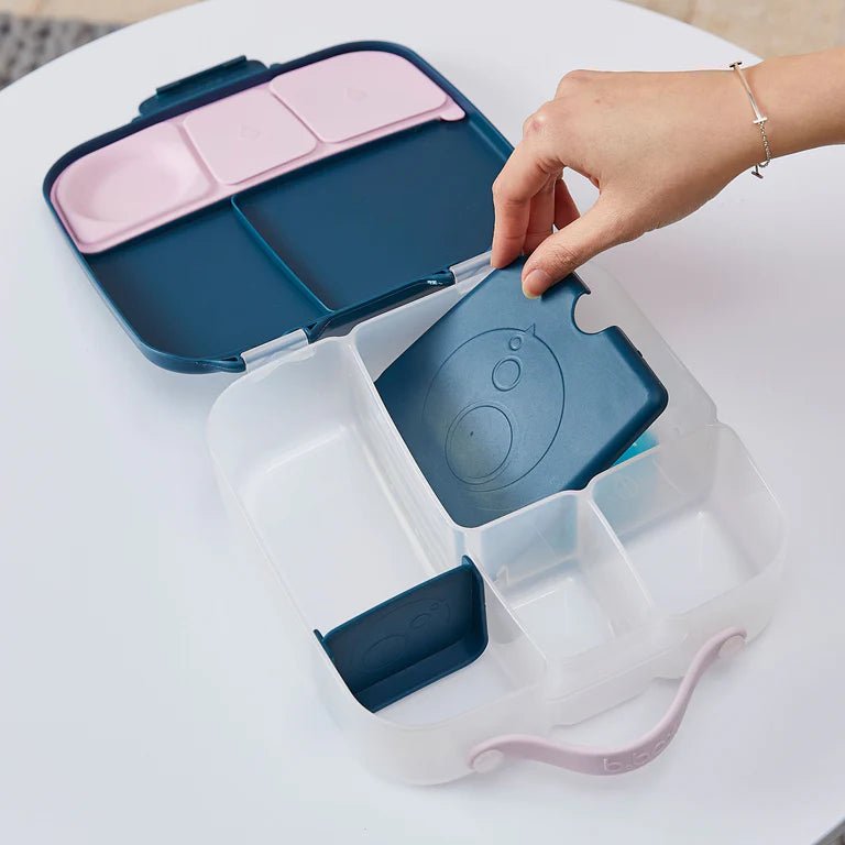 b.box Gel Coolers - Twin Pack - Aster & Ruby