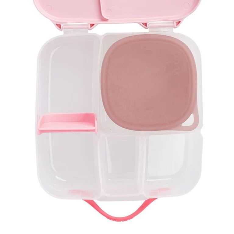 Berry Lunch Tub – Aster & Ruby