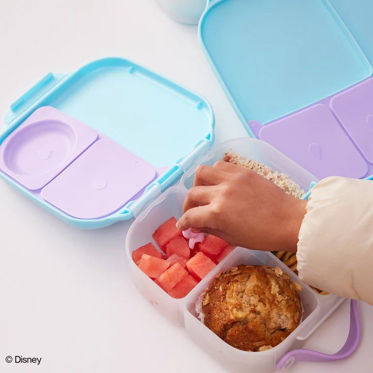 Disney Frozen Mini Lunchbox – Aster & Ruby