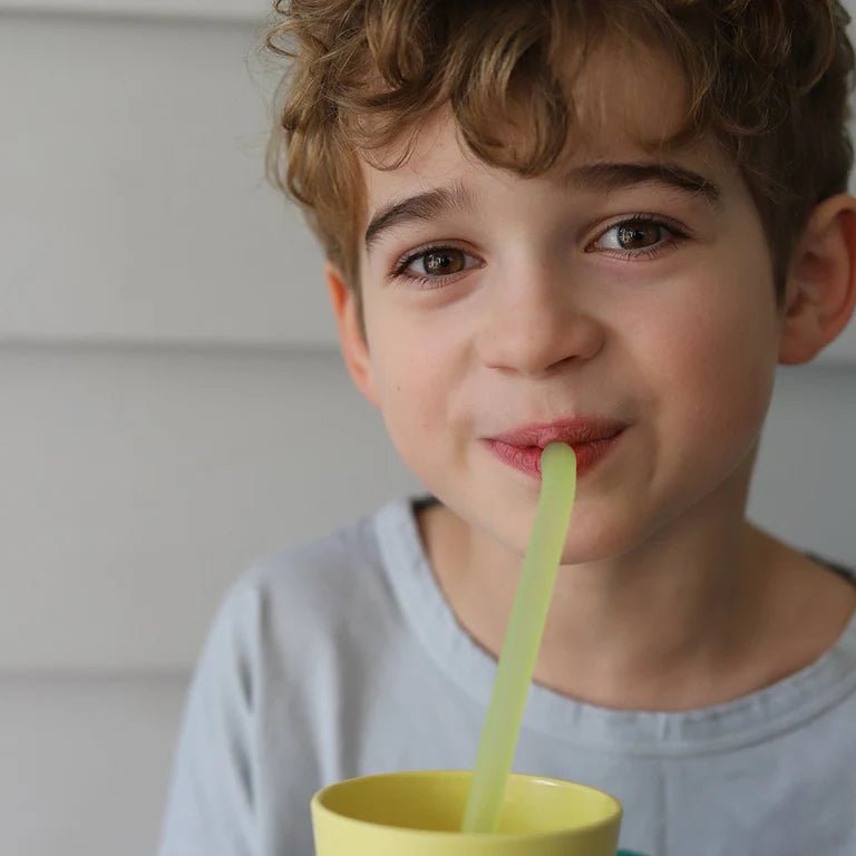 b.box reusable Silicone Straws - Pool Party - Aster & Ruby
