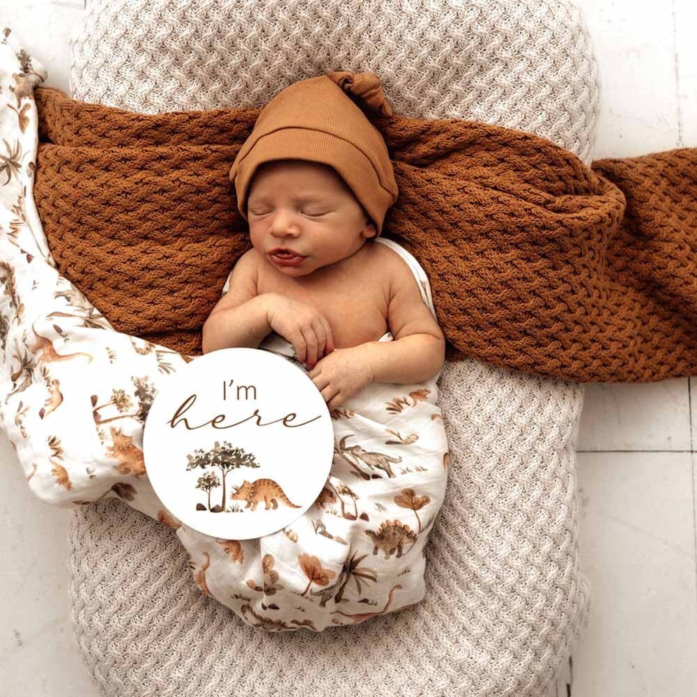 Dino & Dewkist Reversible Milestone Cards - Aster & Ruby