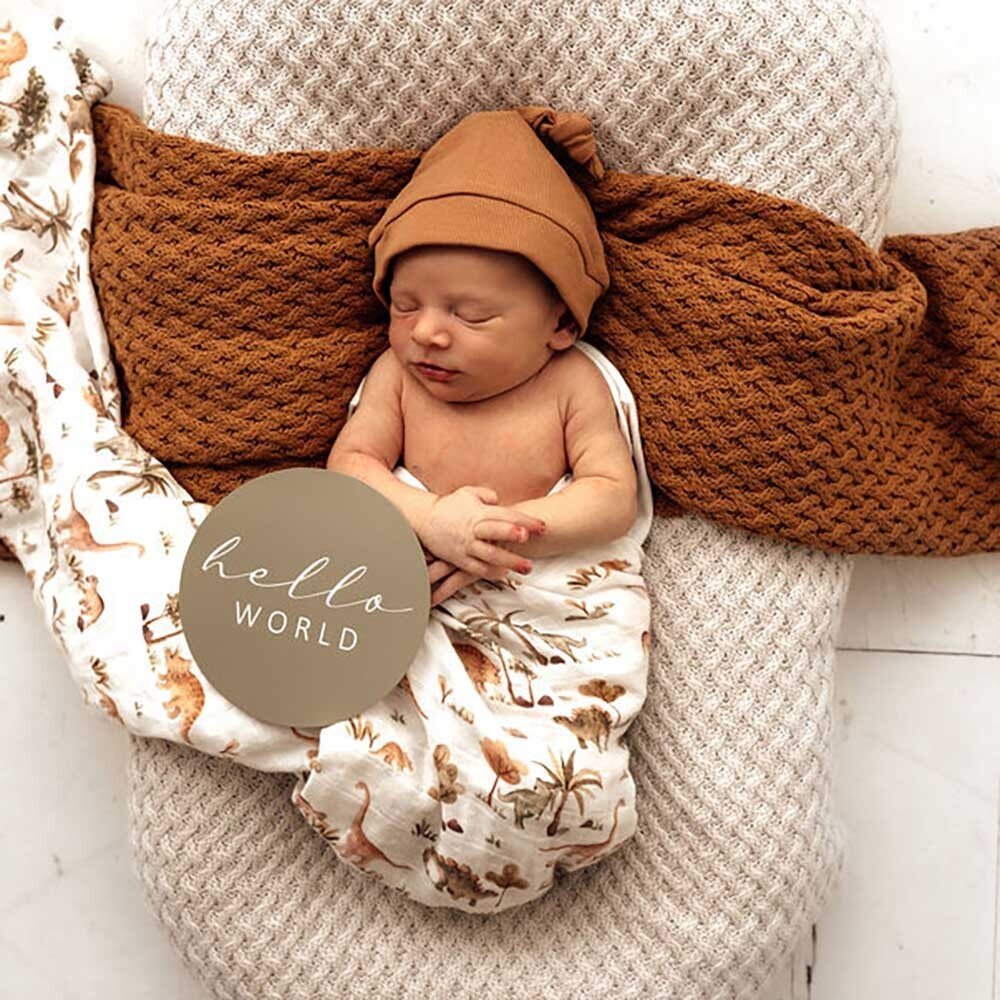 Dino & Dewkist Reversible Milestone Cards - Aster & Ruby