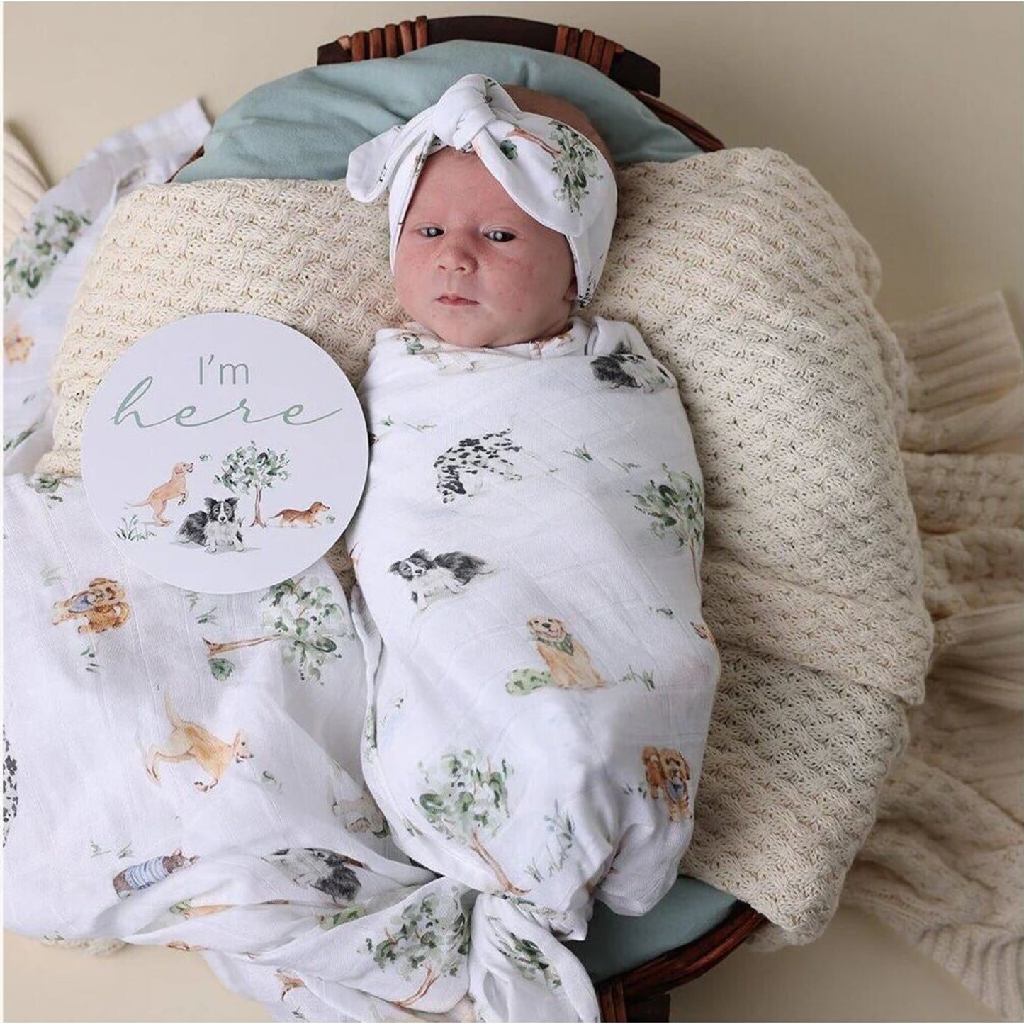 Dog Park Organic Muslin Wrap – children's product by Snuggle Hunny | Aster & Ruby