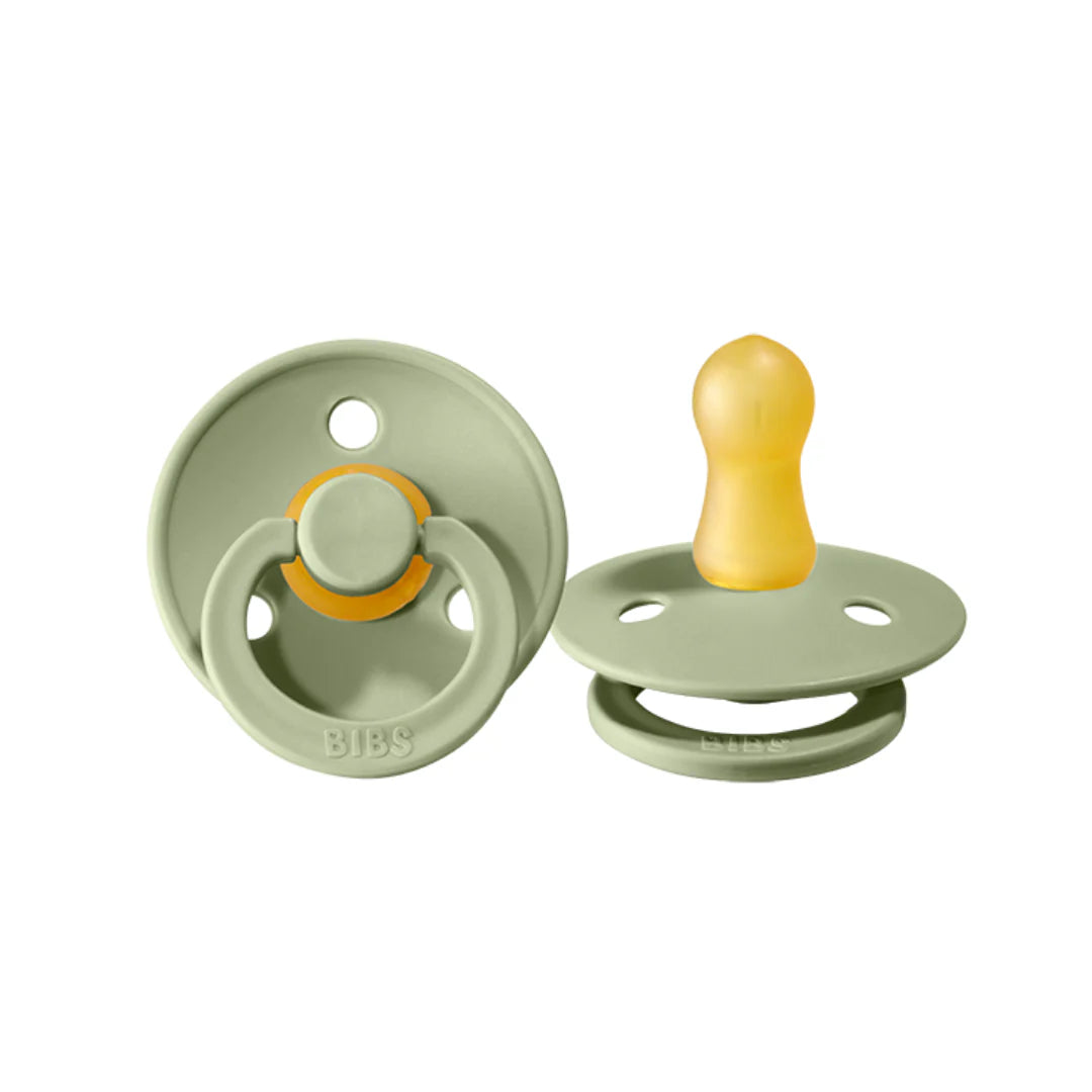 Colour Pacifier Round 2pk