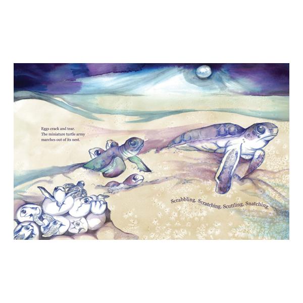 Emerald The Green Turtle's Tale Softcover Book-Aster & Ruby