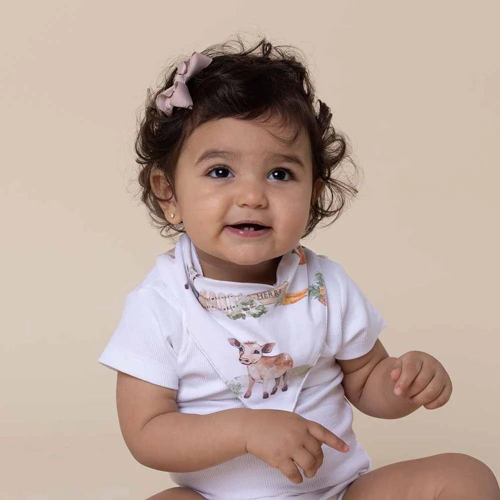 Farm Organic Dribble Bib – Aster & Ruby