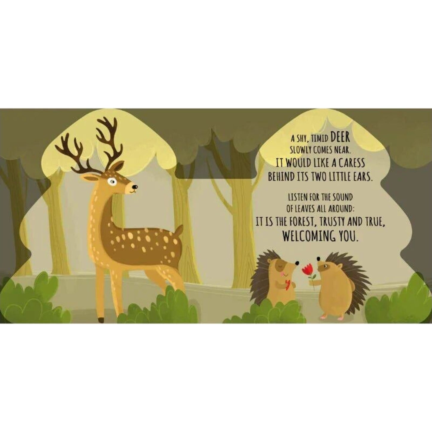 Friends of the Forest – children's product by Sassi | Aster & Ruby