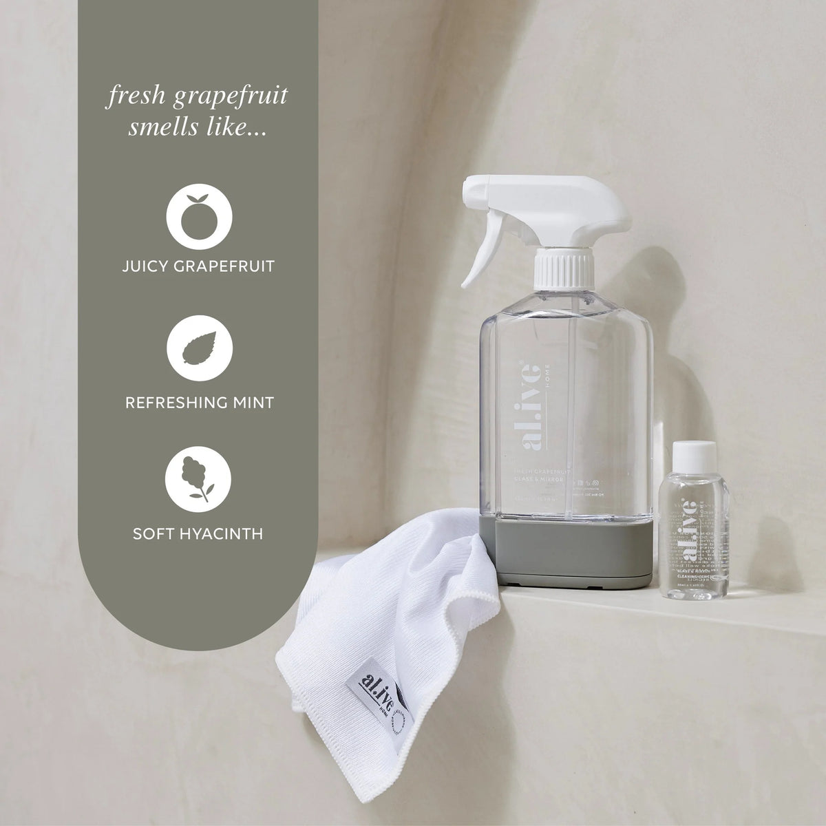 Home Glass & Mirror Cleaning Kit