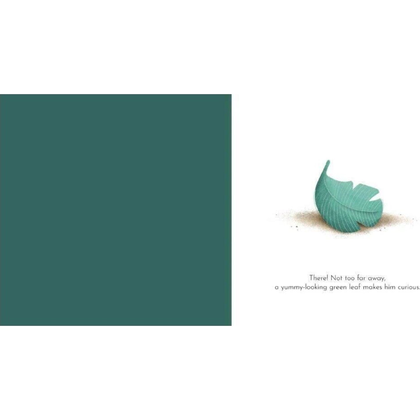 Gnawy's Patience – children's product by Sassi | Aster & Ruby