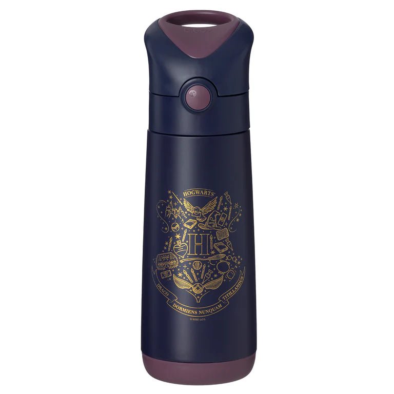 Insulated Drink Bottle 500ml Harry Potter - Aster & Ruby