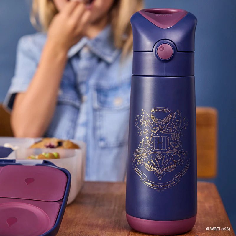 Insulated Drink Bottle 500ml Harry Potter - Aster & Ruby