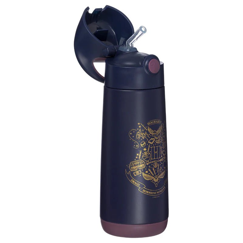 Insulated Drink Bottle 500ml Harry Potter - Aster & Ruby