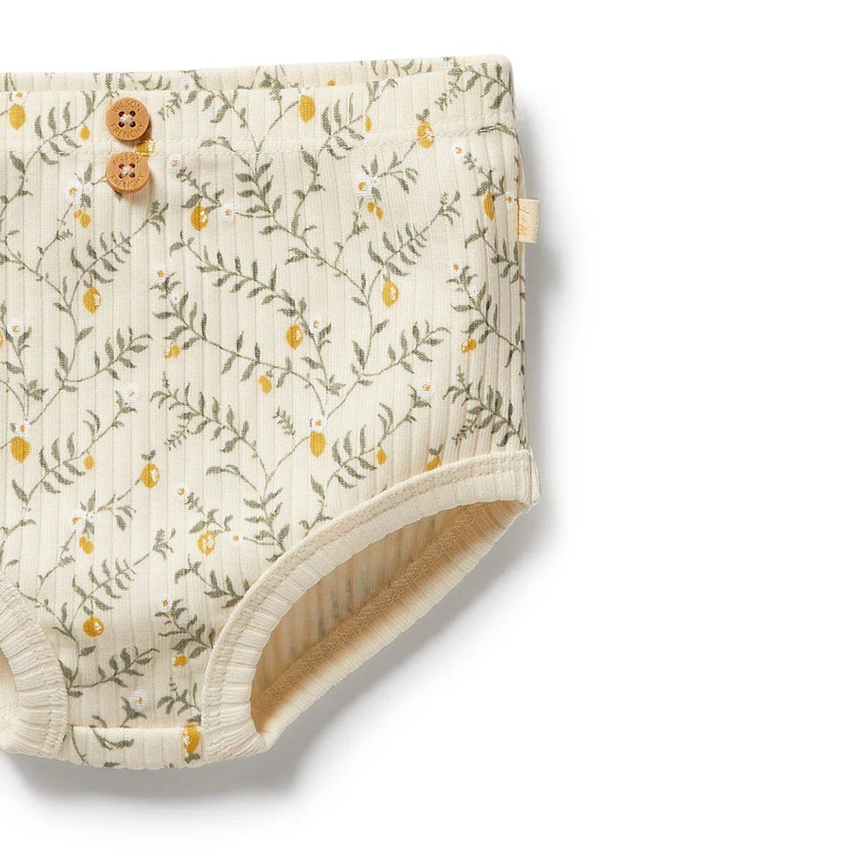 Lemon Leaf Organic Dress Set – 3-6m, 6-12m, 12-18m, 18 -24m – Aster & Ruby