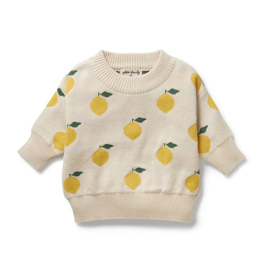 Lemony Organic Knitted Jacquard Jumper - Aster & Ruby