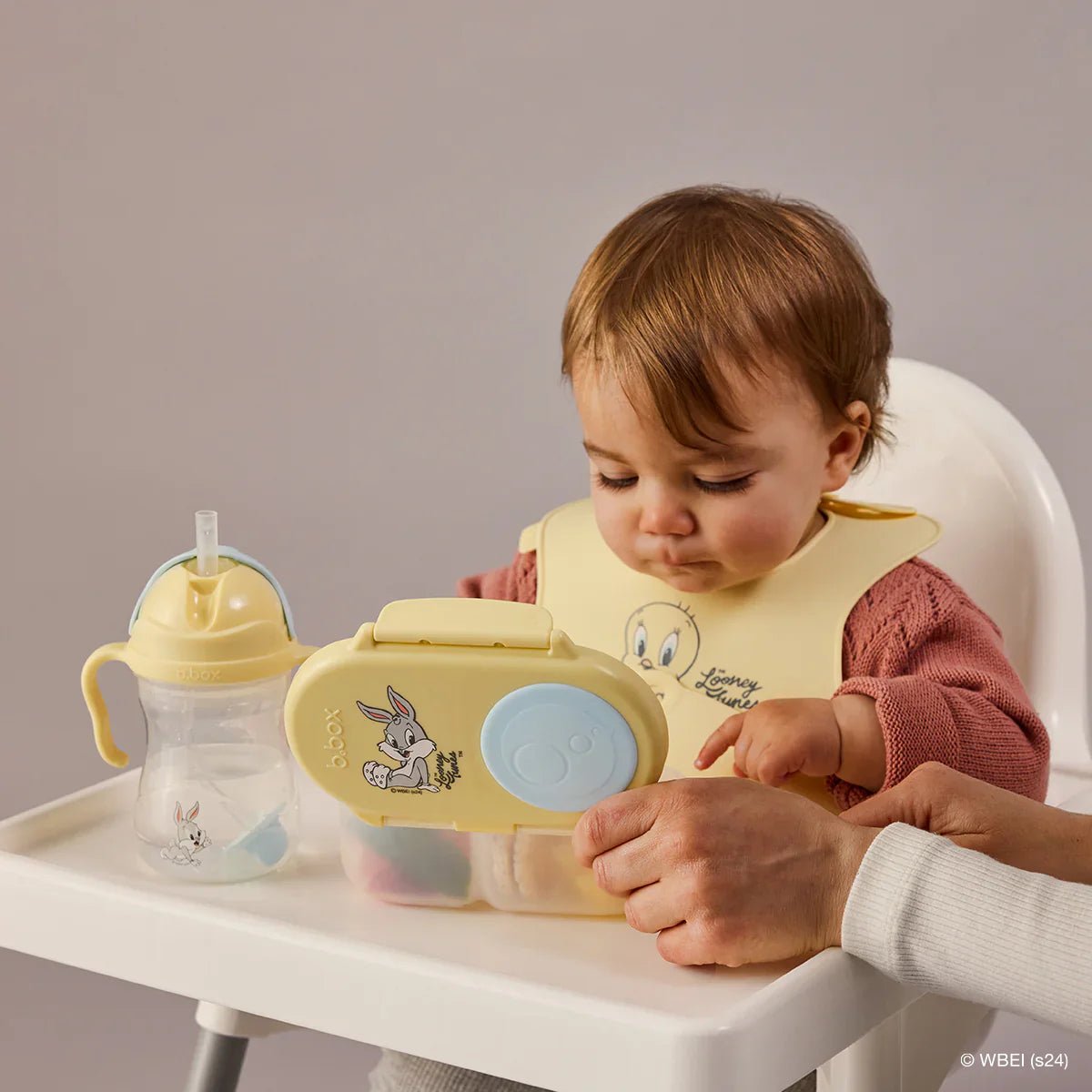 Looney Tunes Snackbox - Aster & Ruby