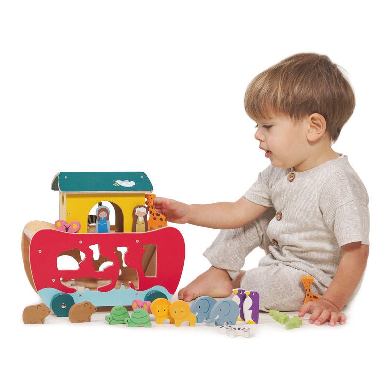 Noah's Shape Sorter Ark - Aster & Ruby
