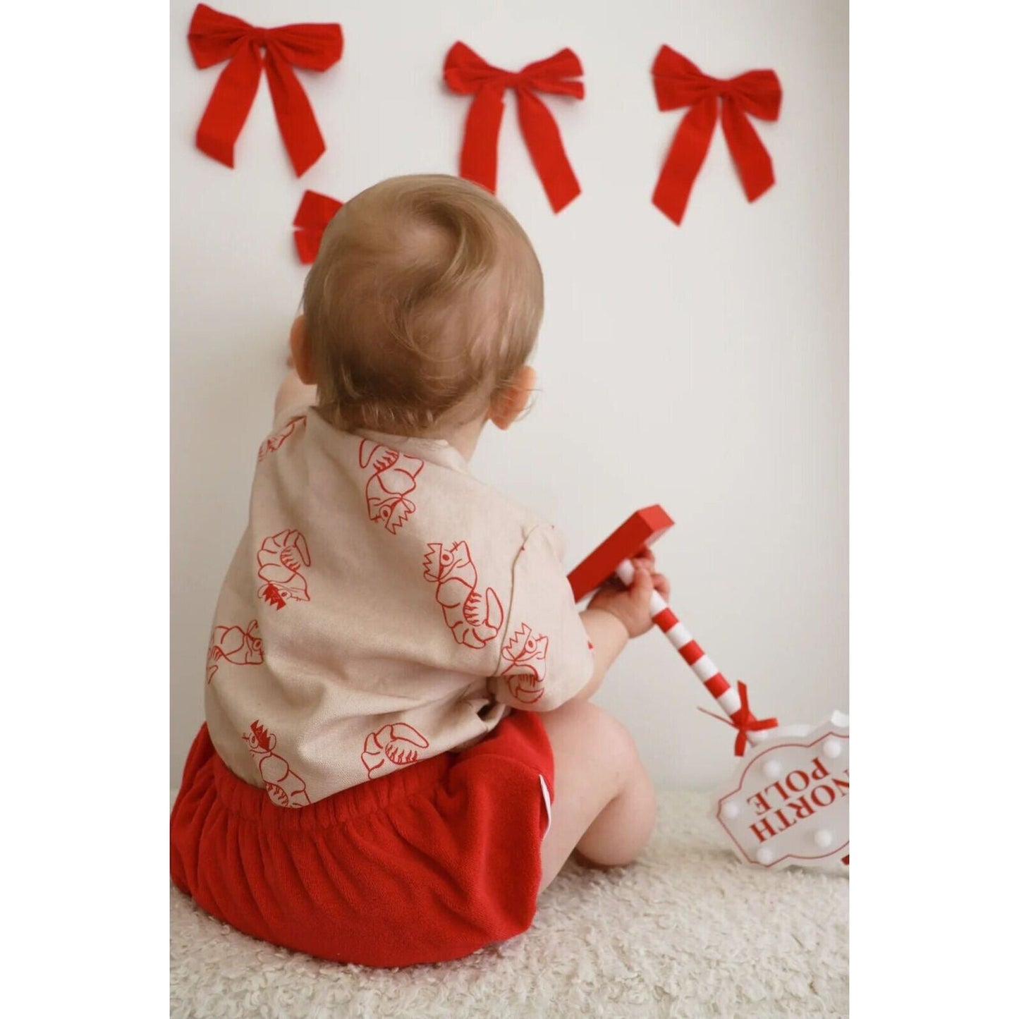 SHIRT | SHAWN THE PRAWN – children's product by Ziggy Lou | Aster & Ruby