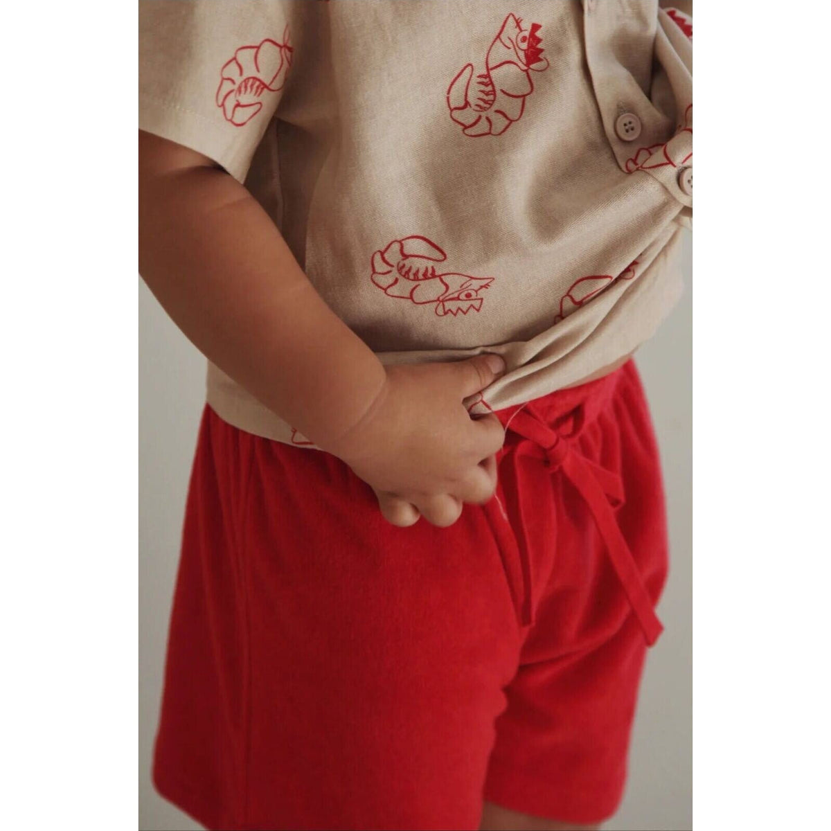 Ziggy Lou SHORTS | SHAWN THE PRAWN | Aster & Ruby