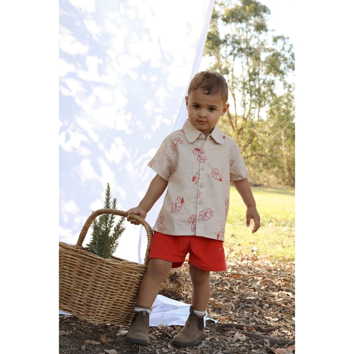 Ziggy Lou SHORTS | SHAWN THE PRAWN | Aster & Ruby