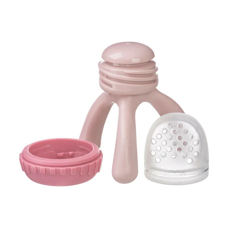 Silicone Fresh Food Feeder - Aster & Ruby