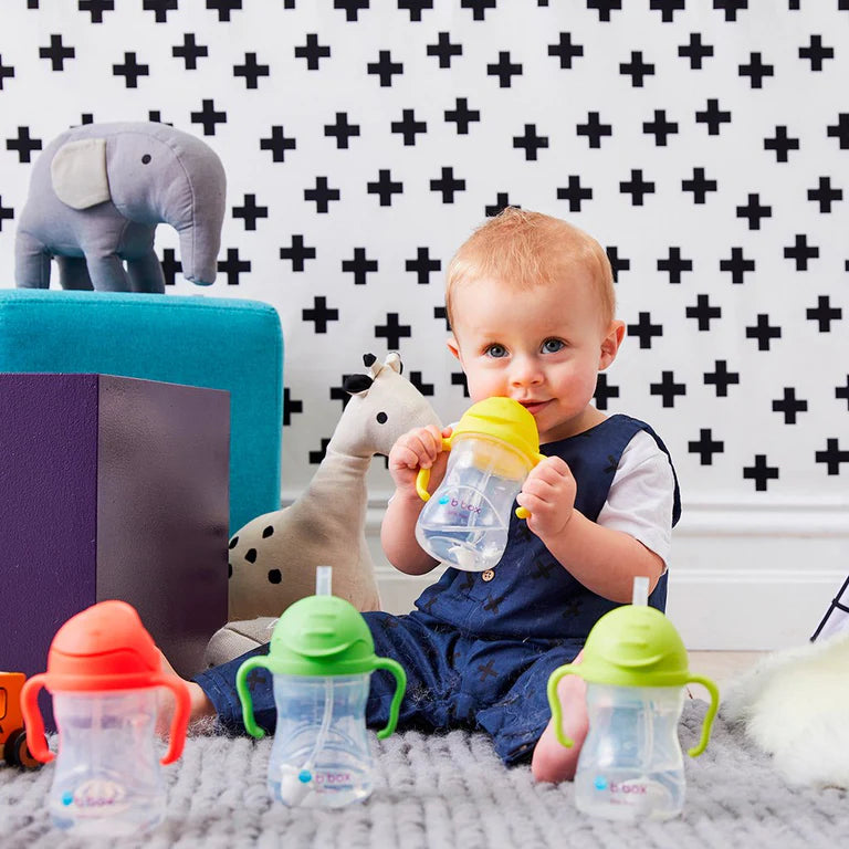Sippy Cup