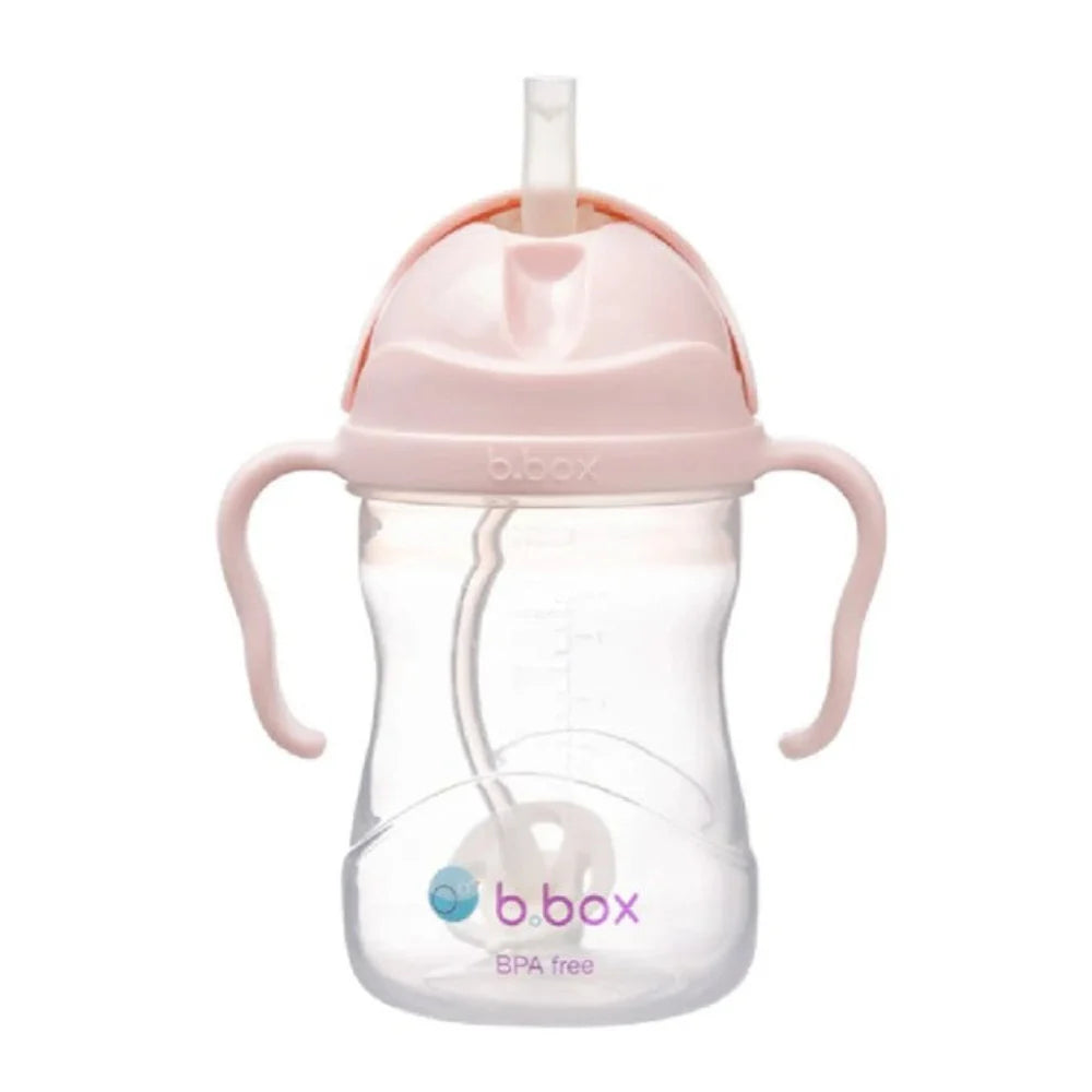Sippy Cup