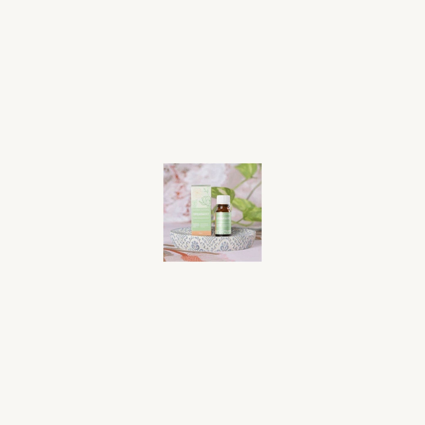 Lively Living Spearmint Essential Oil 10ml | Aster & Ruby