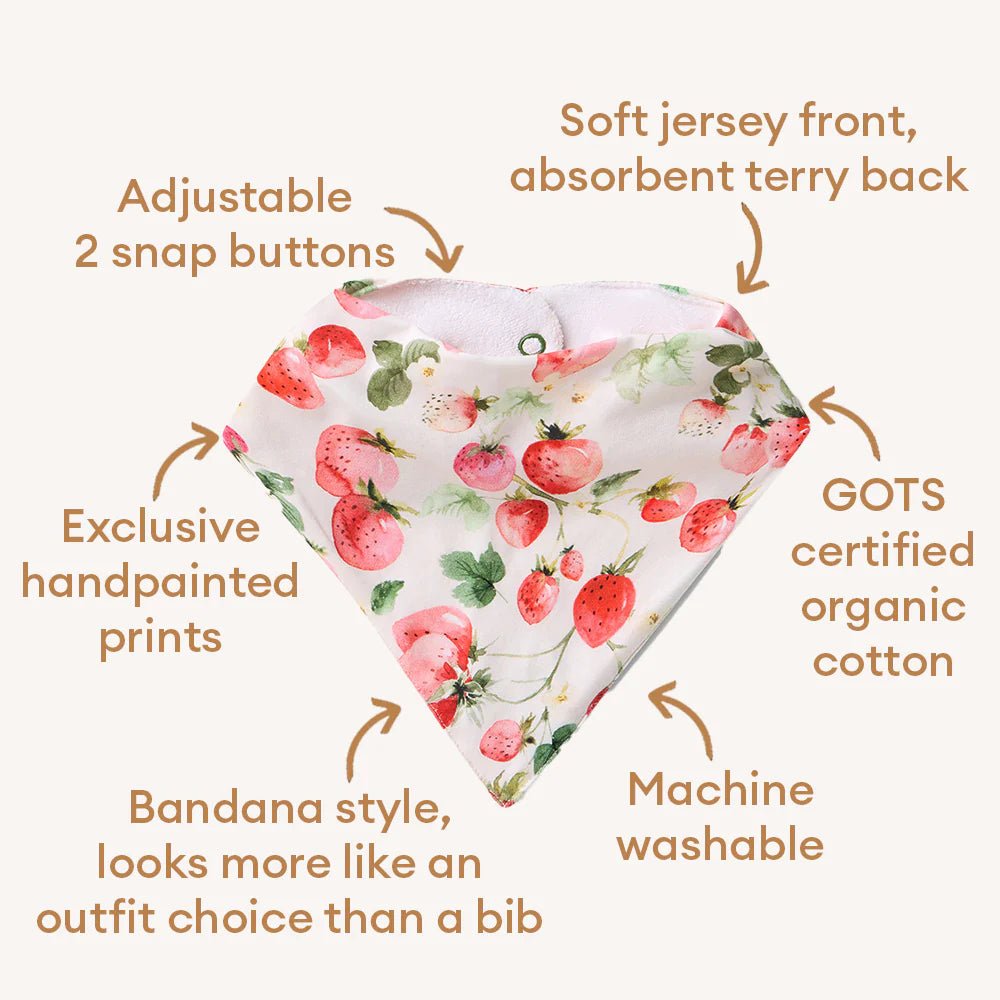 Strawberry Organic Dribble Bib - Aster & Ruby