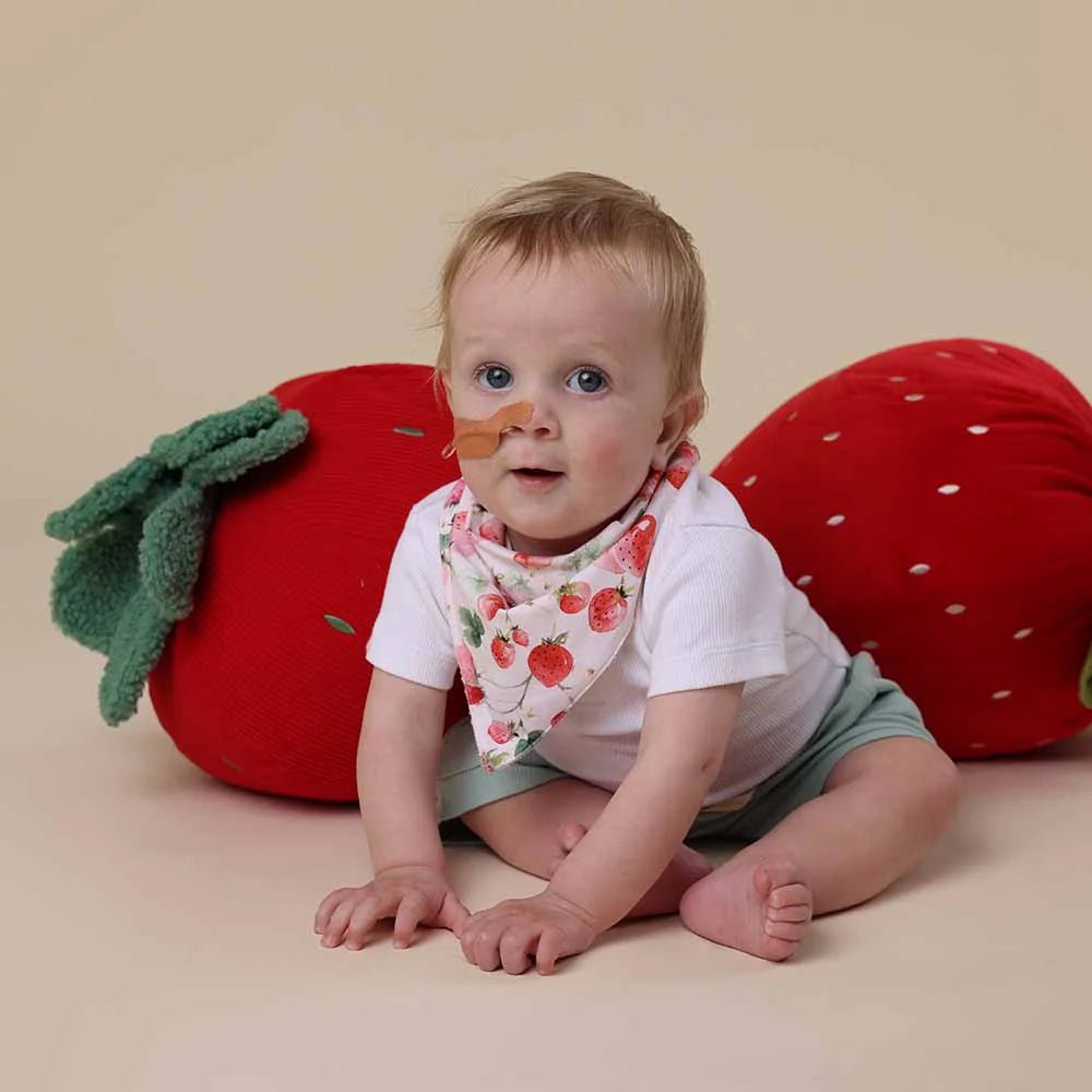 Strawberry Organic Dribble Bib - Aster & Ruby