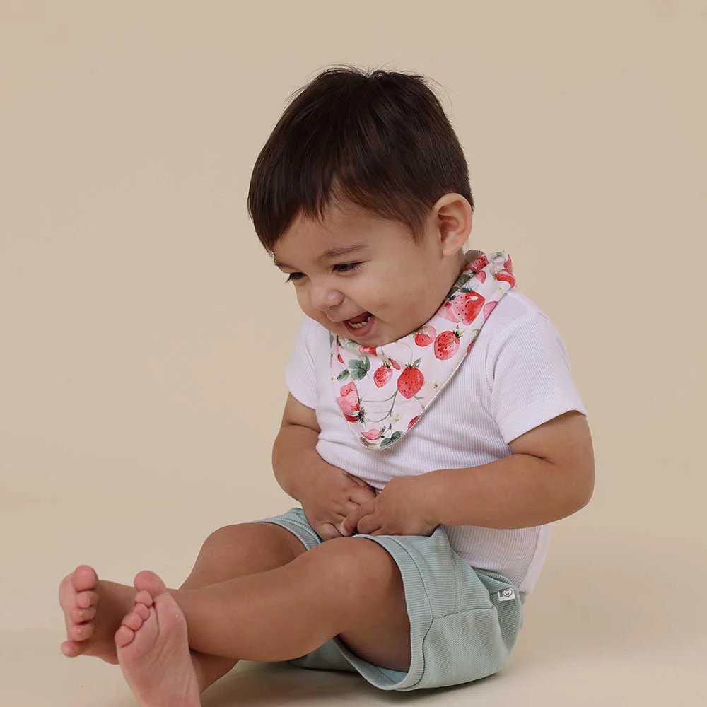 Strawberry Organic Dribble Bib - Aster & Ruby
