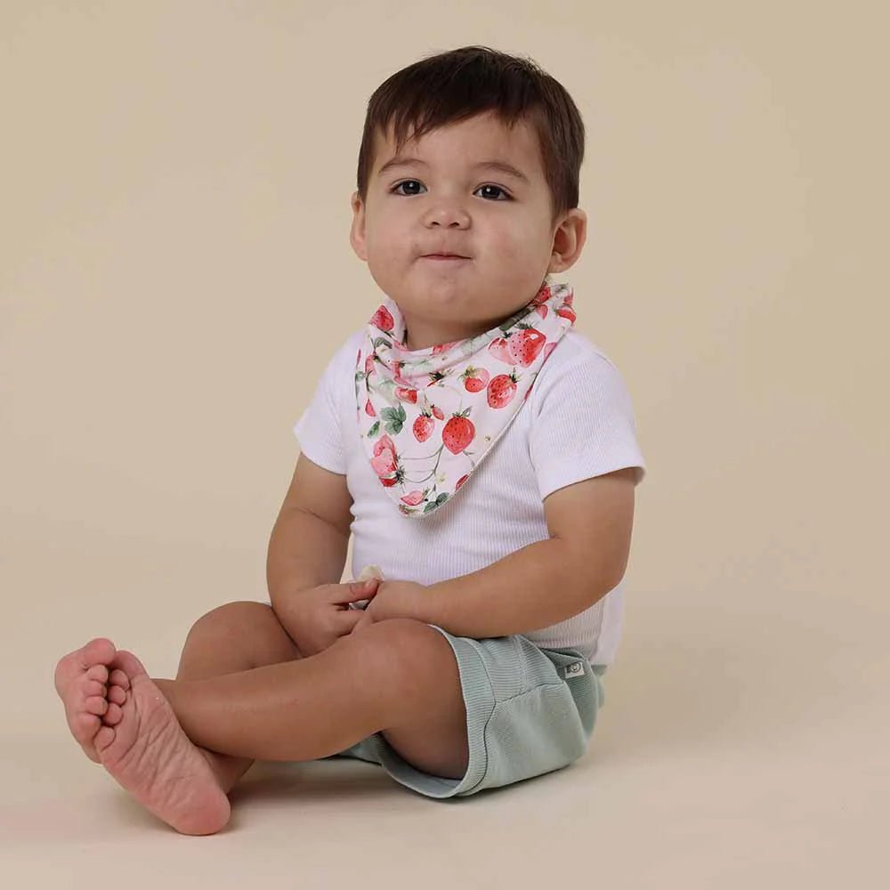Strawberry Organic Dribble Bib - Aster & Ruby