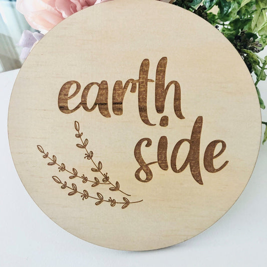 Timber Tinkers Earth Side Disc-Aster & Ruby