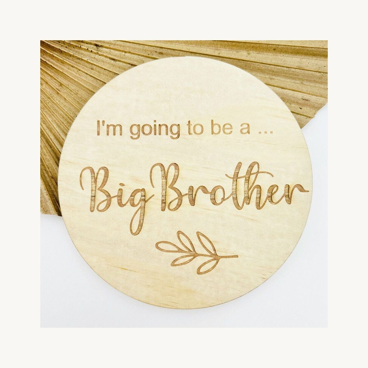 Timber Tinkers Timber Tinkers I'm Going To Be A Big Brother Disc | Aster & Ruby