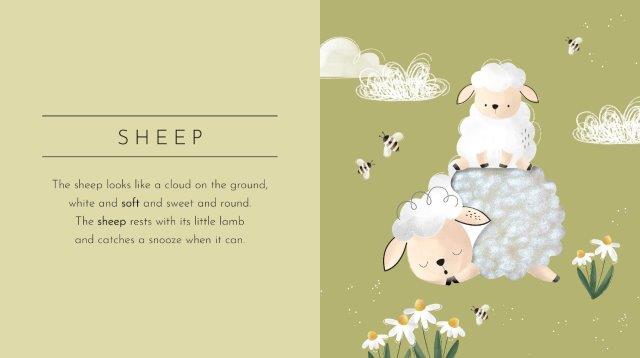 Touch & Feel Pocket Book Animals - Aster & Ruby
