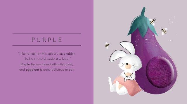 Touch & Feel Pocket Book Colours - Aster & Ruby