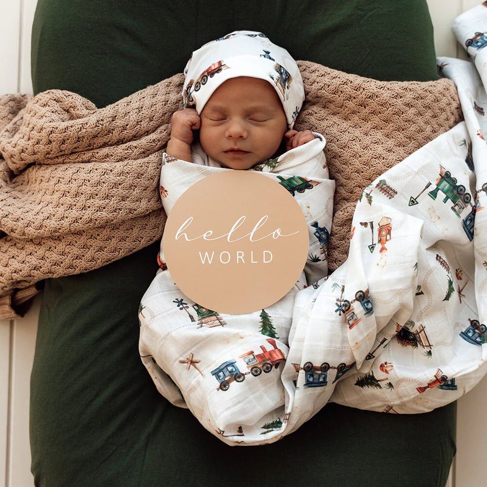 Trains & Pebble Reversible Milestone Cards – Aster & Ruby