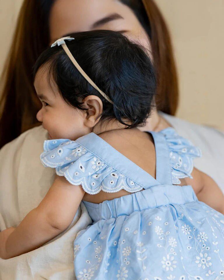 Zara Embroidered Overlay Dress – 0-3m, 3-6m, 6-12m, 1Y, Sky Blue – Aster & Ruby