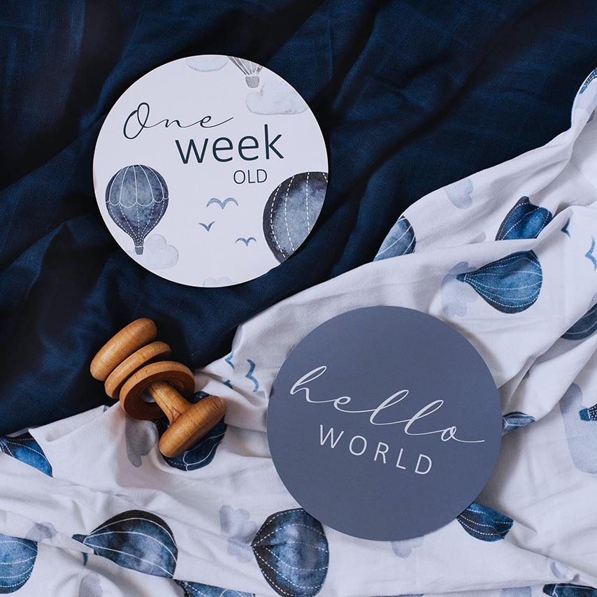 Cloud Chaser & Indigo Reversible Milestone Cards - Aster & Ruby