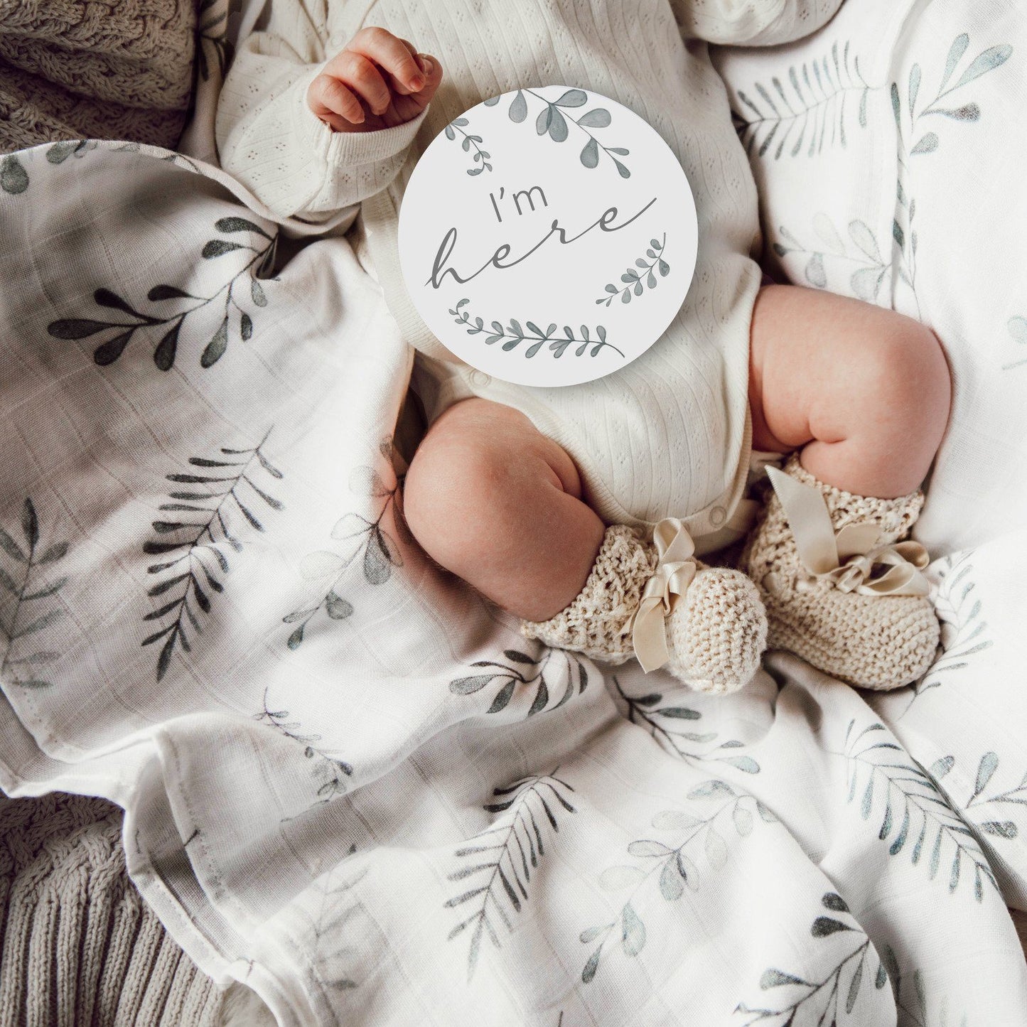 Milestone Cards Wild Fern/Grey - Aster & Ruby