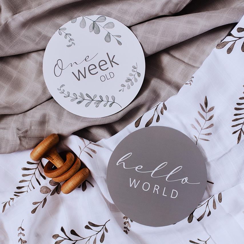 Milestone Cards Wild Fern/Grey - Aster & Ruby