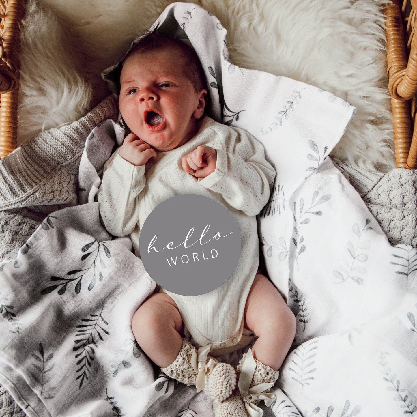Milestone Cards Wild Fern/Grey - Aster & Ruby