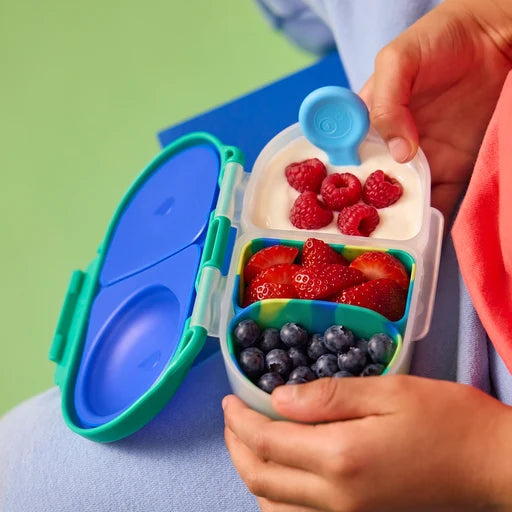 Silicone Bento Buddy Snackbox (Various Colours)