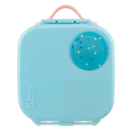 Mini Lunchbox